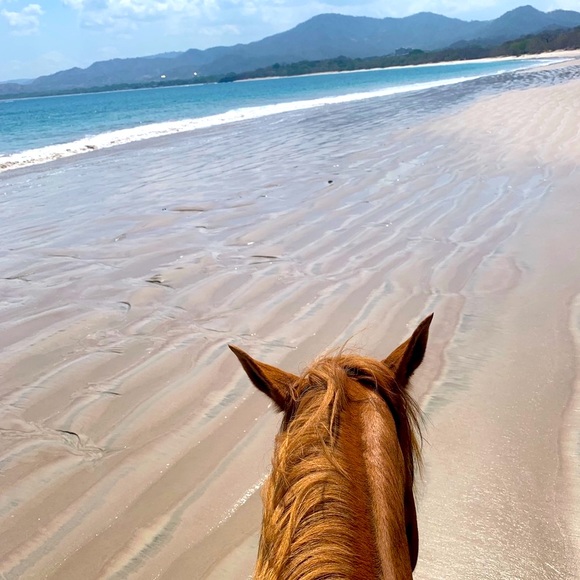 Meet your Posher, Elizabeth Ashley - Picture 6 of 7